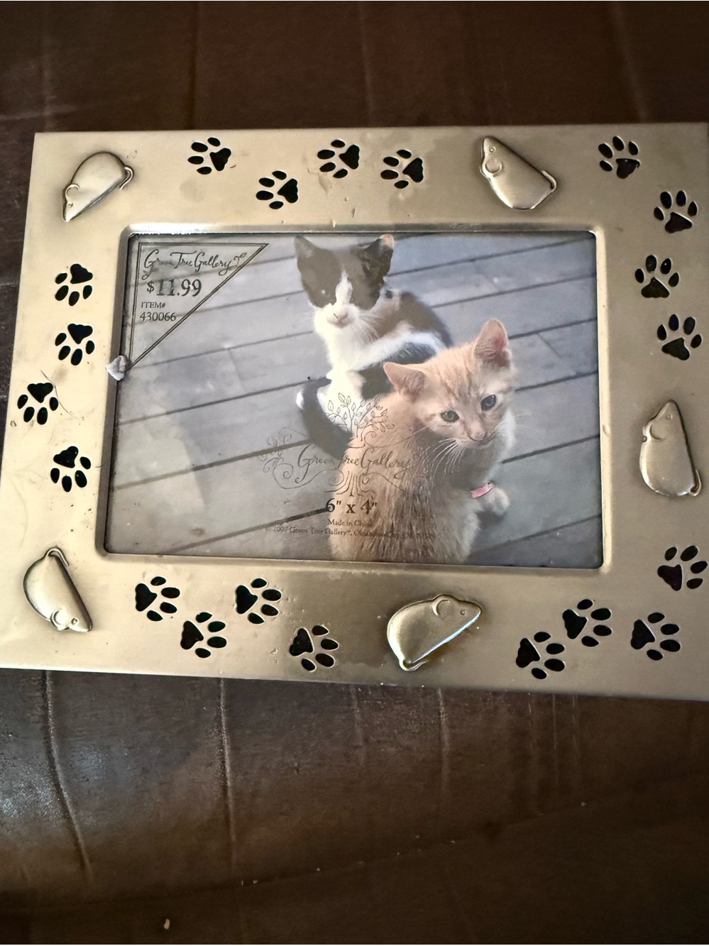 Silver Paw-Print Cat Photo Frame - Pets Cat